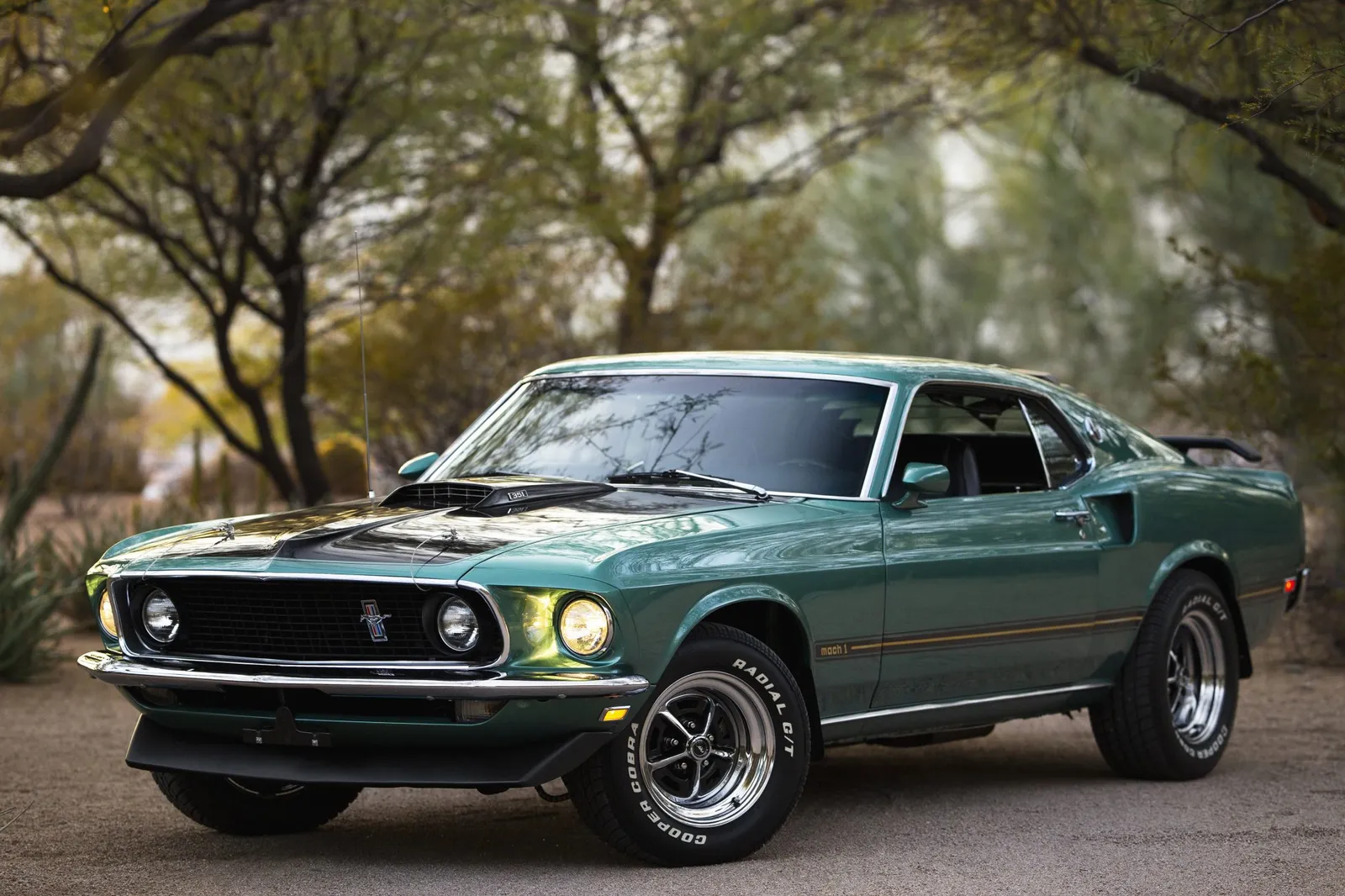 1969 Ford Mustang Mach 1